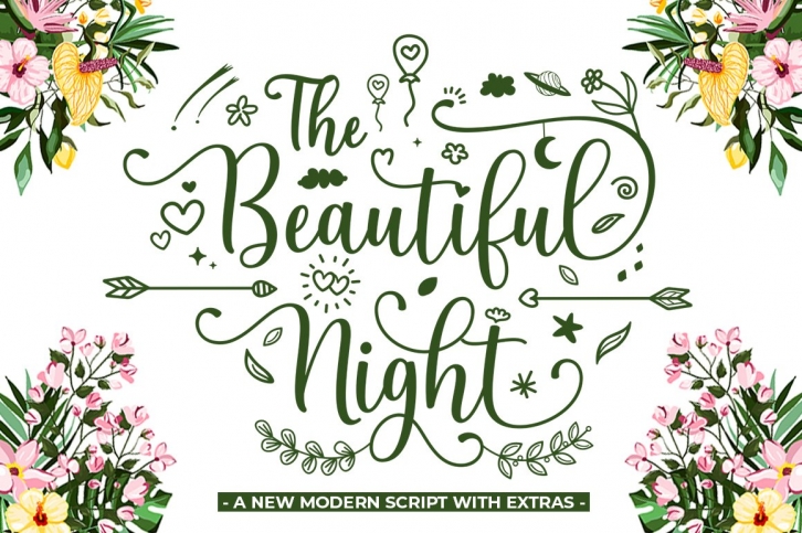 The Beautiful Night Script With Extras Font Download