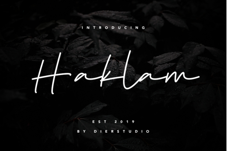 Haklam Signature Font Download