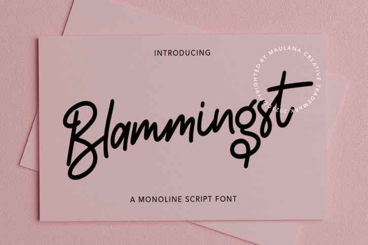 Blammingst Script Font Font Download