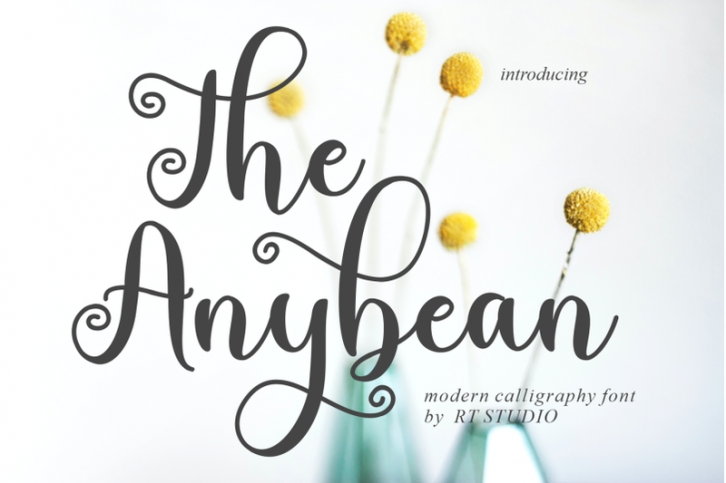 The Anybean Font Download