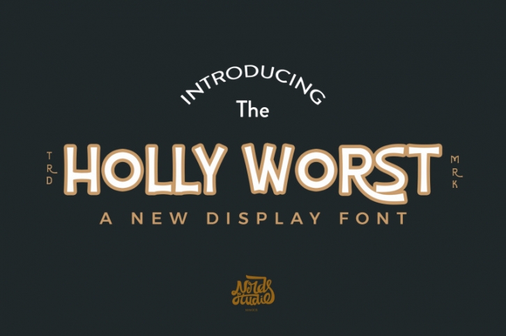 Holly Worst Display Font Font Download