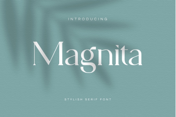 Magnita Serif Font Font Download