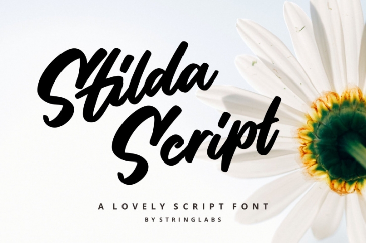 Stilda - Lovely Script Font Font Download