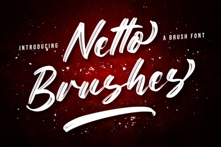 Netto Brushes - Brush Font Font Download