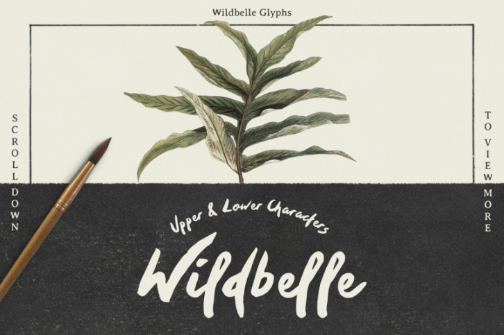 Wildbelle Font Font Download