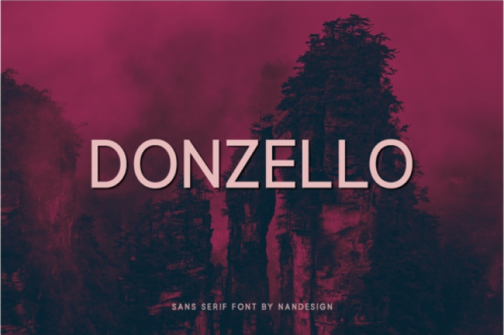 Donzello Font Download