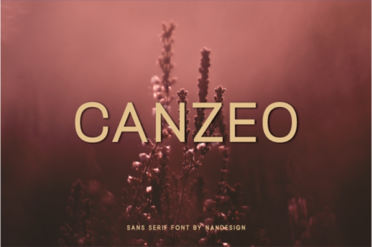 Canzeo Font Download