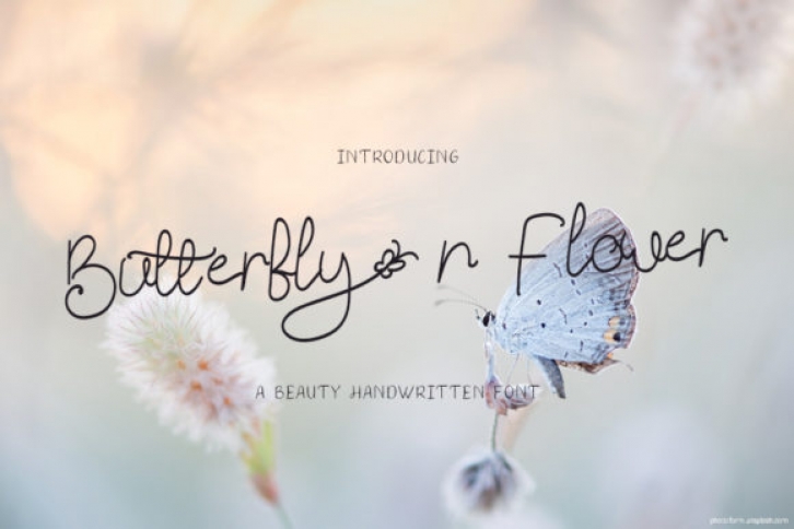 Butterfly N Flower Font Download