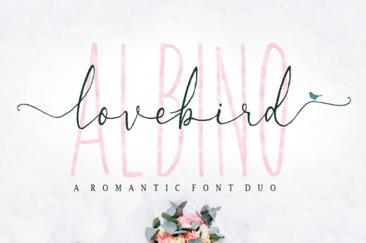 Albino Lovebird - Font Duo Font Download