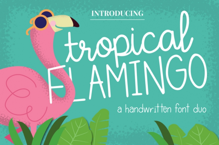 Tropical Flamingo Font Duo Font Download