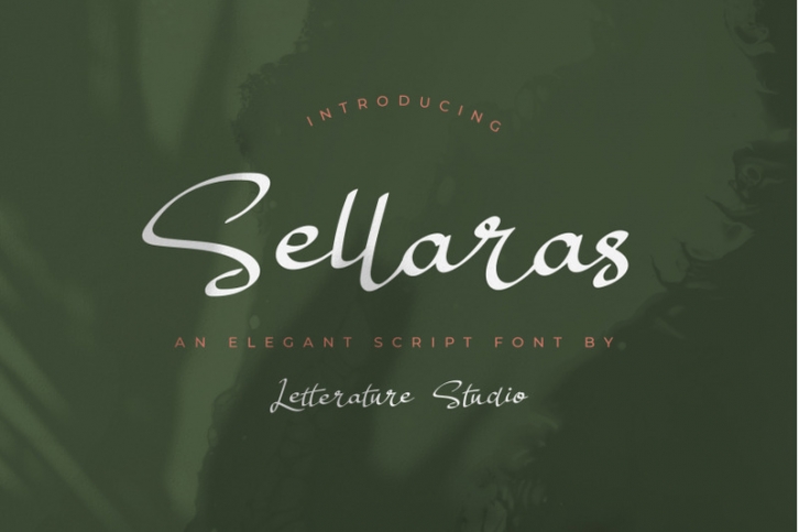 Sellaras // Elegant Script Font Font Download