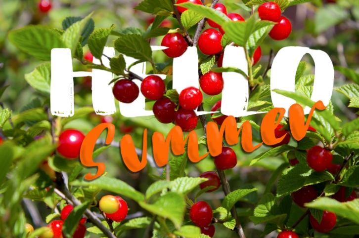 Handwritten grunge fonts trio Font Download