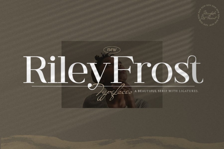 Riley Frost - Casual Serif Font Font Download