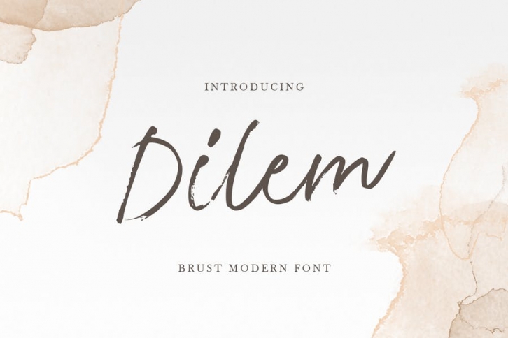 Dilem - Beauty Script Brush Font Font Download