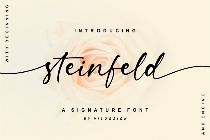 Steinfeld a Handwritten Script Font Download