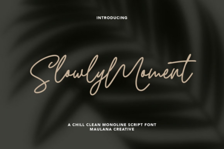 Slowly Moment Font Download