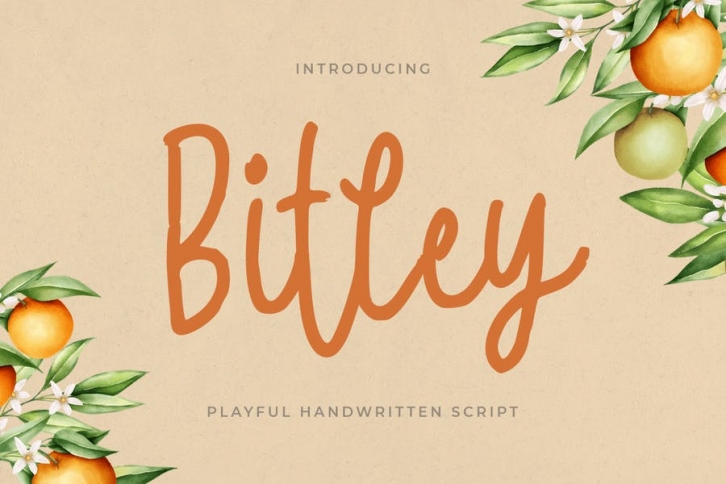 Bitley - Playful Handwritten Font Font Download