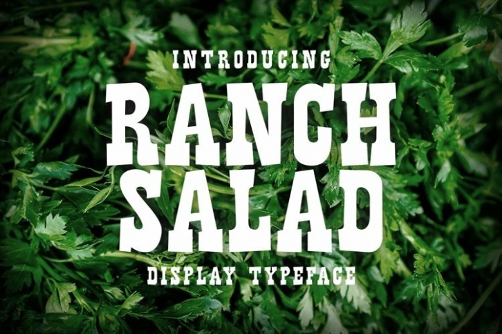 Rancy Salad Display Typeface Font Download