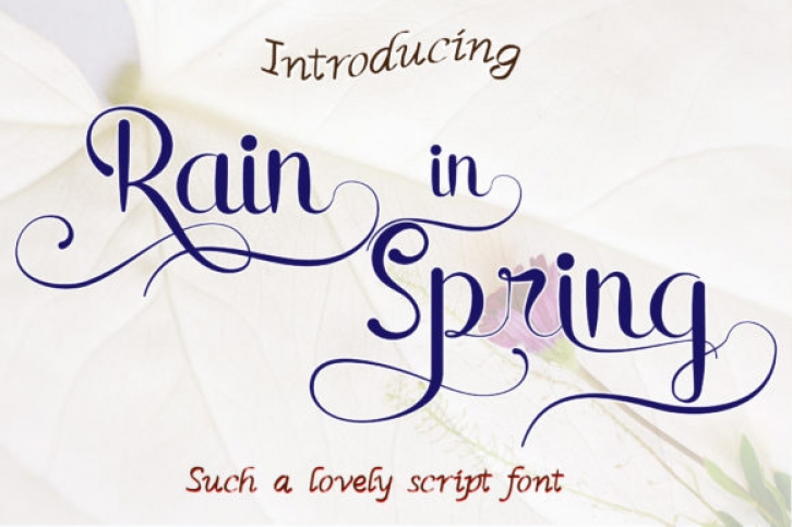 Rain in Spring Font Download