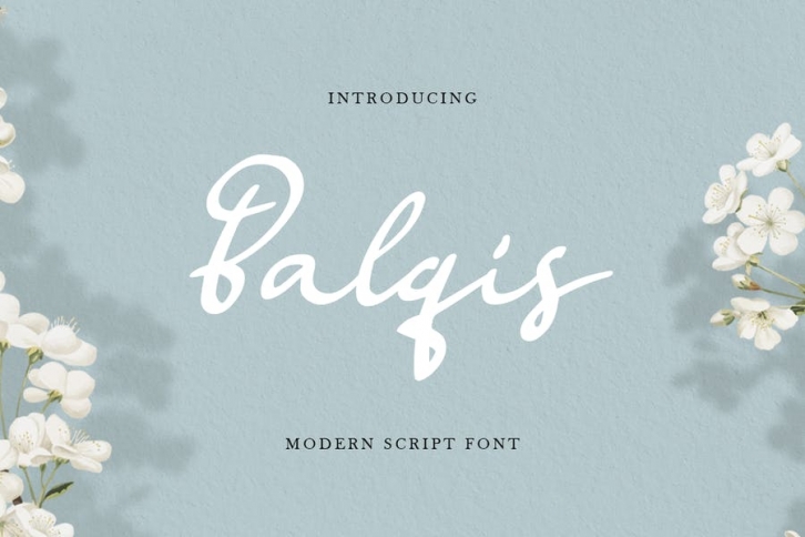 Balqis - Handwritten Siganture Modern Script Font Font Download
