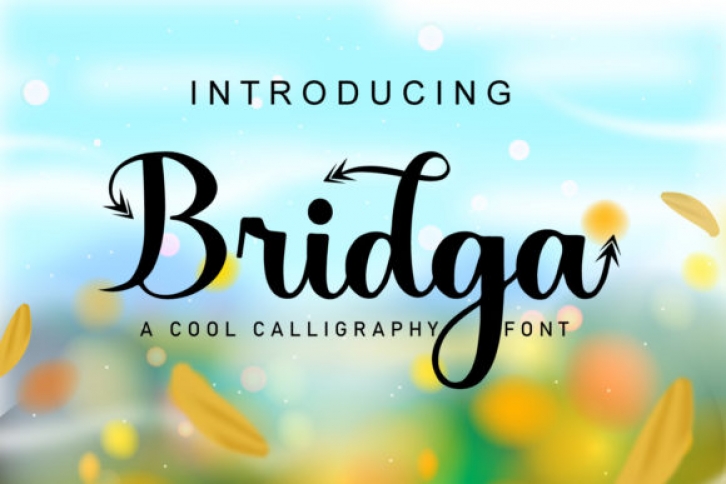 Bridga Font Download