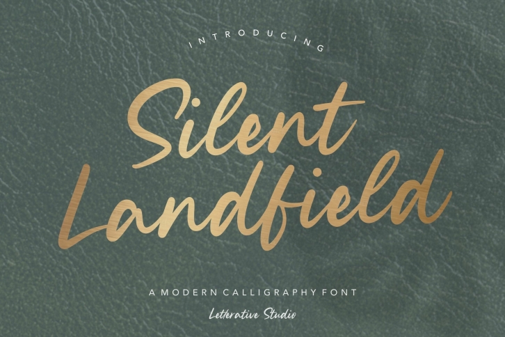 Silent Landfield is a Modern Calligraphy Font Download