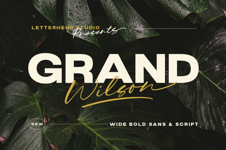 Grand Wilson Font Download