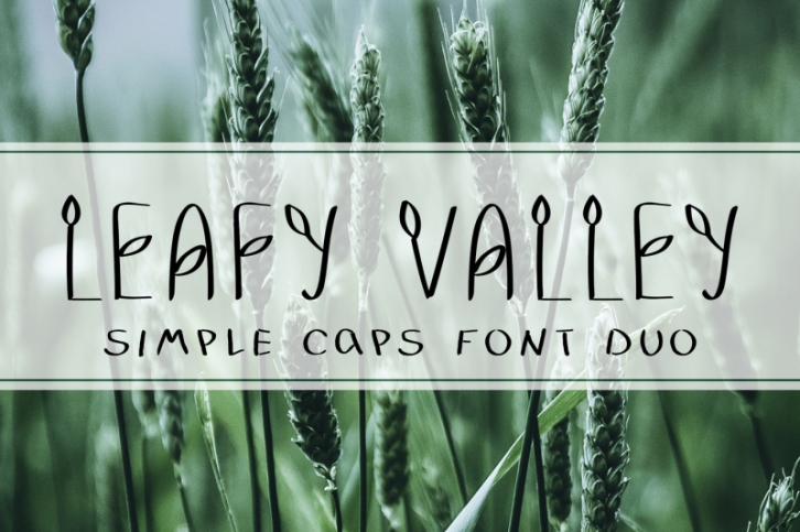 LEAFY VALLEY - Hand Drawn Font DUO Font Download