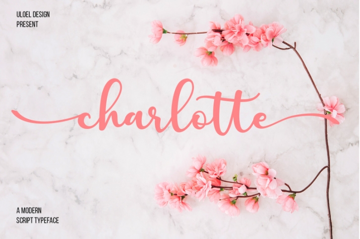 Charlotte Script Font Download