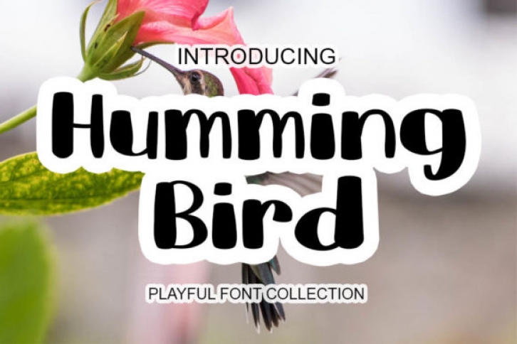Humming Bird Font Download