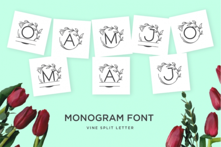 Monogram Vine Letter Font Download