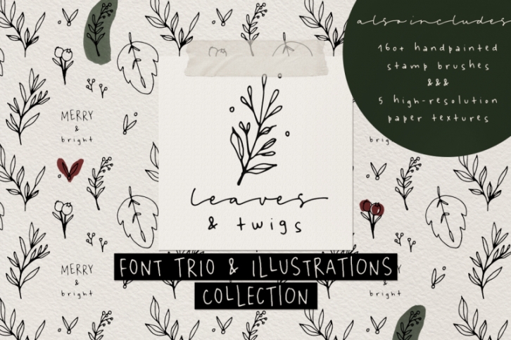 Leaves and Twigs font trio + extras Font Download