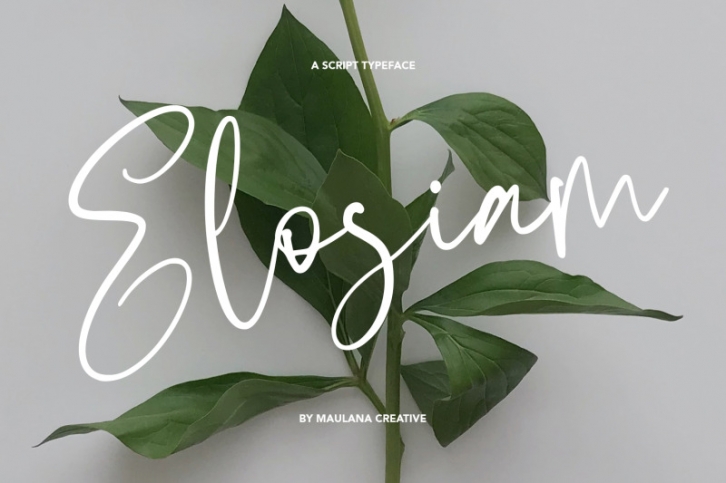 Elosiam Script Typeface Font Download