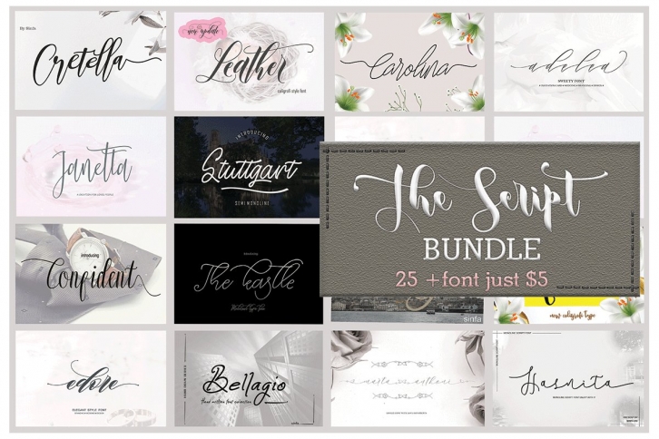The Script bundel Font Download