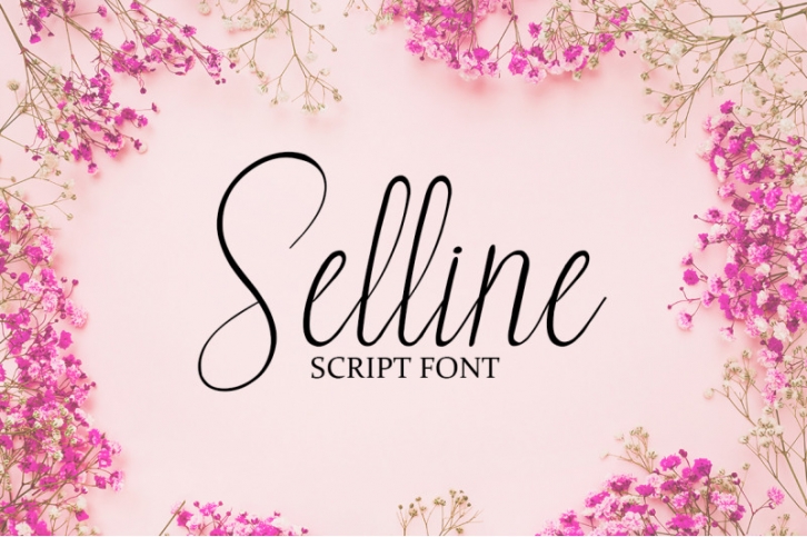 Selline Script Font Download