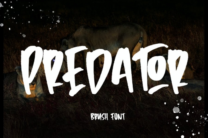 Predator - Brush Font Font Download