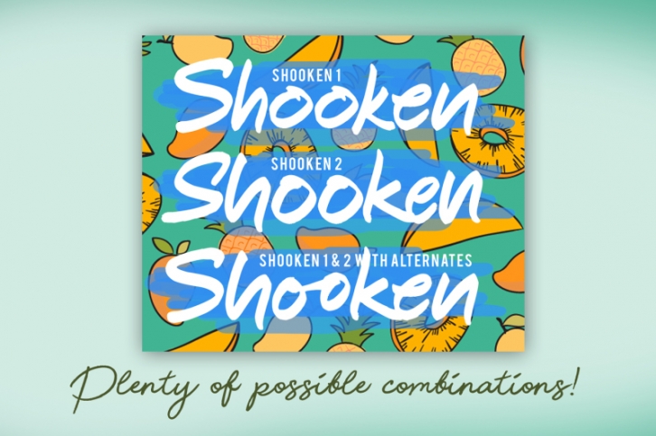 Shooken Fonts + Extras & Swashes Font Download