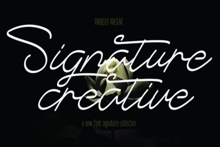 Signature Creative Font Download