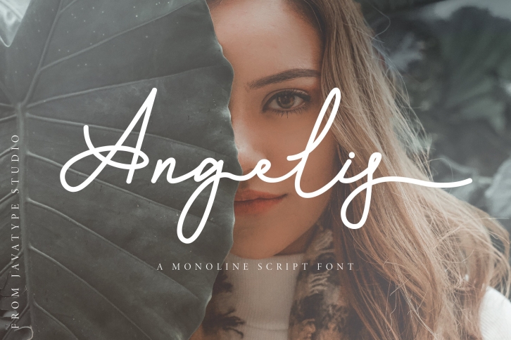 Angelis Script Font Download
