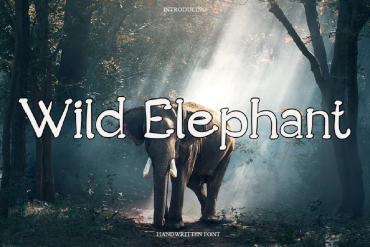 Wild Elephant Font Download