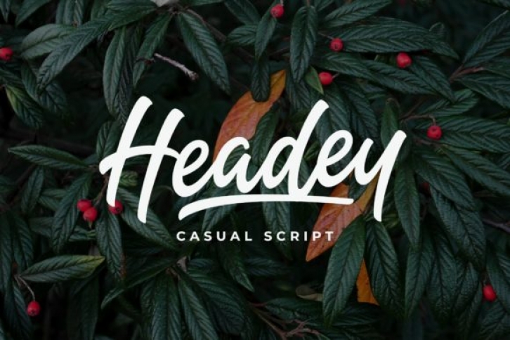 Headey Font Download