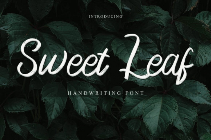 Sweet Leaf Font Download
