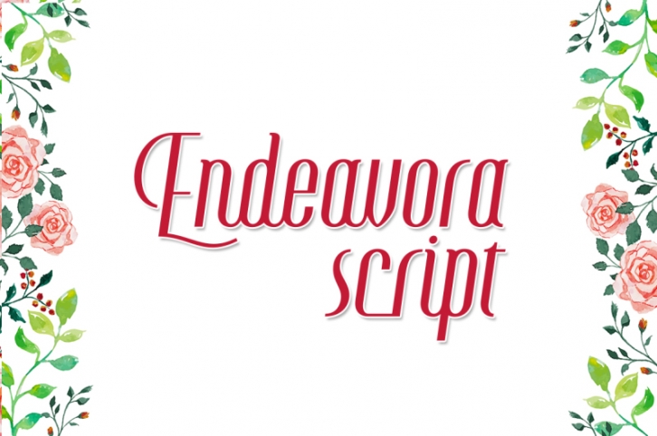 Endeavora Script Font Download