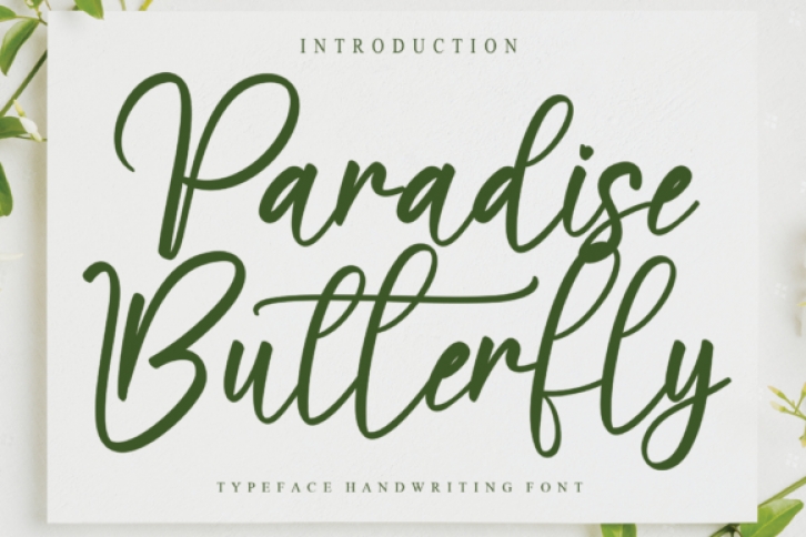 Paradise Butterfly Font Download