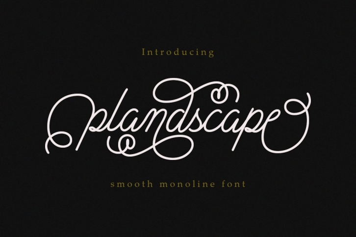 Plandscape smooth monoline Font Download