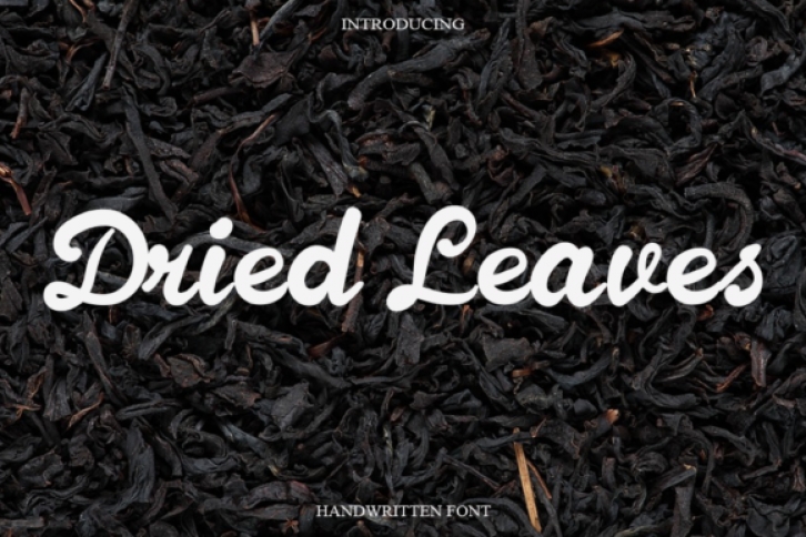 Dried Leaves Font Download