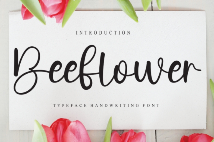 Beeflower Font Download