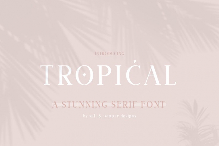 Tropical Serif Font Font Download