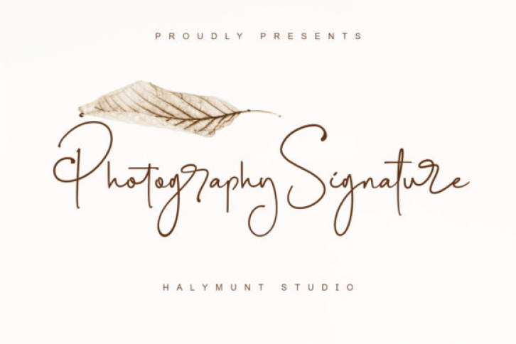 Photography Signature Font Download