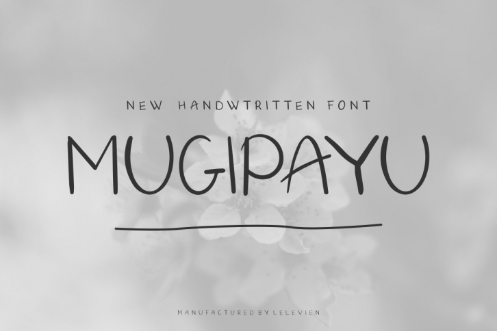 Mugipayu Handwritten Font Download